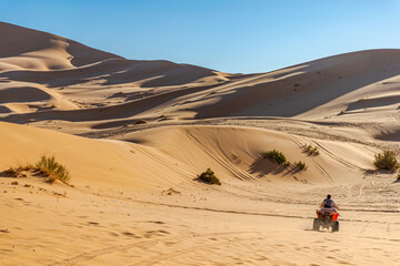 An unrecognizable women seen from behind, wearing a back bag driving a quad in the Sahara desert sand dunes with dry herbs and a clear blue sky in a sunny day with dunes shadows and sunlight contrast.