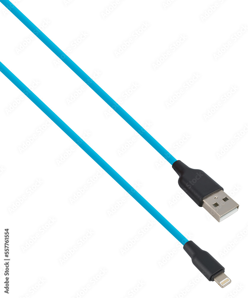 Wall mural cable with usb and lightning connector