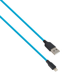 cable with USB and Lightning connector