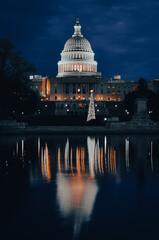 Washington DC - Capitol building and Christmas tree	