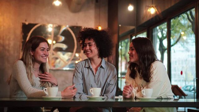 Thee young women having fun and talking on a coffee shop. Photo of a group of happy females on a restaurant or bar. High quality 4k footage