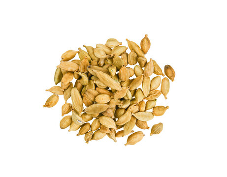 cardamom isolated on  transparent  png