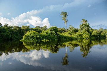Obraz na płótnie Canvas Beautiful reflection of Trees of the Amazonian rainforest shore line of Cristalino River, Matto Grosso, Brazil