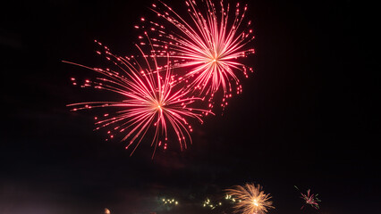 fireworks in the night sky - obrazy, fototapety, plakaty