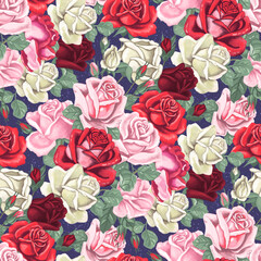 Red, white, pink blossom garden roses on dark backgrouns. Seamless pattern with digital hand drawn illustrations with floral theme