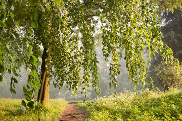 Early morning serenity.