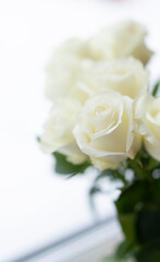 Bouquet of white roses on the windowsill. Minimalism