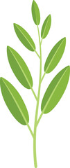 Sage plant icon flat vector. Herb leaf. Tea salvia isolated