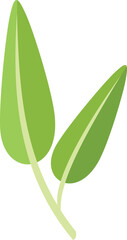 Sage rosemary icon flat vector. Leaf plant. Herb flower isolated