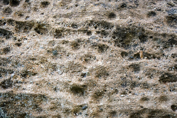 Stein Felsen Textur