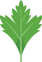 Parsley herb icon flat vector. Leaf plant. Garnish dill isolated