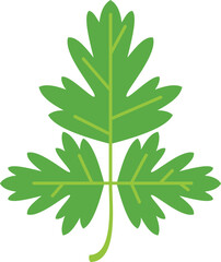Fototapeta premium Parsley salad icon flat vector. Leaf herb. Basil plant isolated