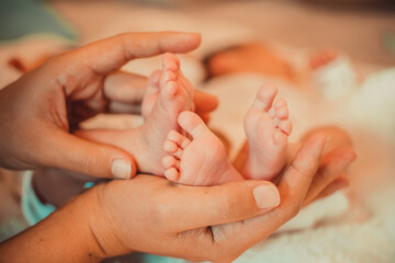 bebés
