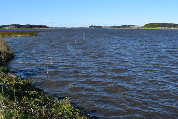 手賀沼 千葉県北部の湖沼