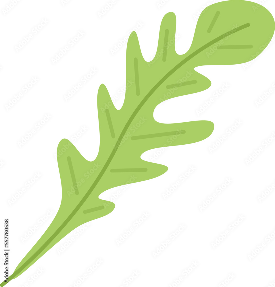 Wall mural Ruccola icon flat vector. Arugula salad. Rucola leaf isolated