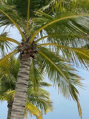 Beautiful holidays at Maledives