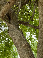 Beautiful holidays at Maledives