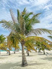 Beautiful holidays at Maledives