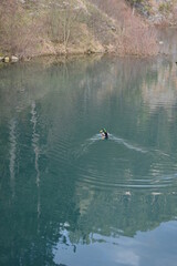 Ducks on a small lake in Park Vodice
