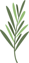 Rosemary plant icon flat vector. Herb leaf. Green herbal isolated