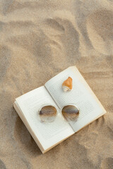 Beautiful sunglasses, book and shell on sand, top view. Space for text