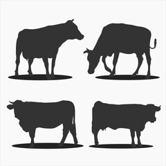 Cow silhouette with different poses. vector illustration
