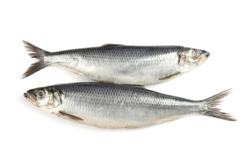 Delicious whole salted herrings isolated on white, top view