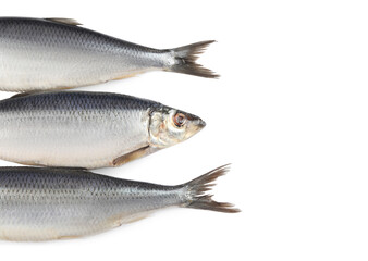 Delicious whole salted herrings isolated on white, top view