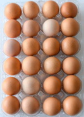 Two dozen brown eggs, , , ,