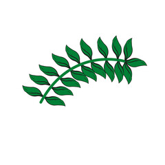 leaf