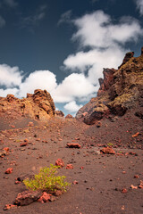 Interior of the crater of El Cuervo Volcano in Lanzarote,  Canary Islands, Spain