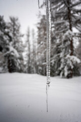 Icicle