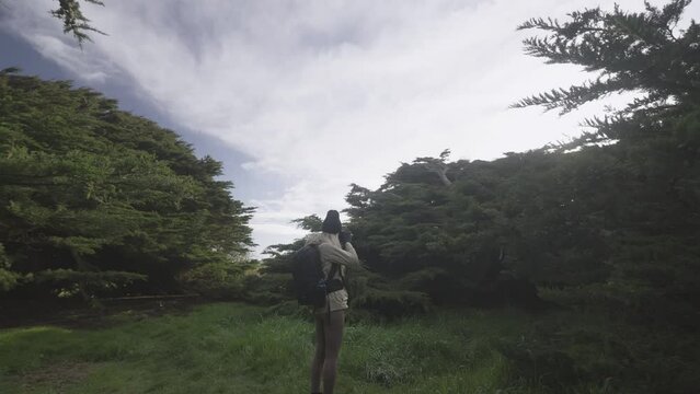 Female nature photographer taking photos of Trees of Waipapa Point, NZ