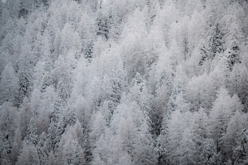 Frosty texture