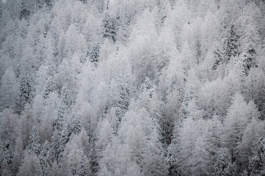 Frosty texture © Lars Gebraad