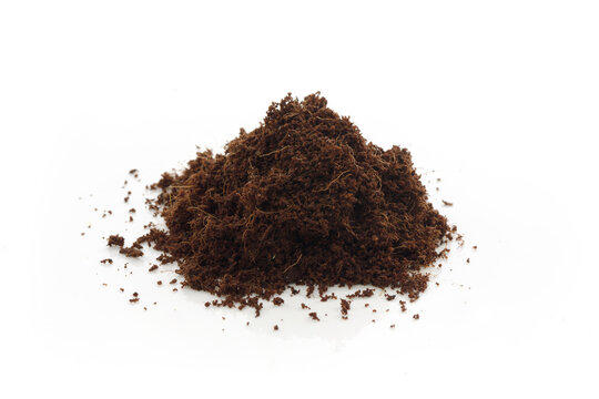 Coconut coir or Coco coir growing media closeup