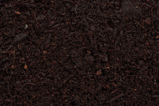 Organic potting soil mix closeup of texture