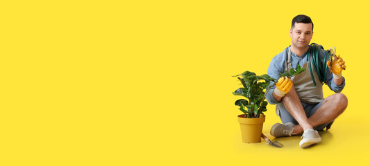 Young male gardener with houseplant on yellow background with space for text