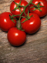 Tomatoes on the vine closeup