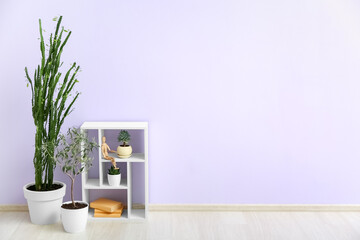 Different houseplants and shelf unit near color wall in room