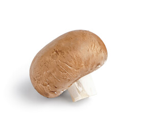 Fresh champignon mushroom isolated on white background