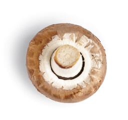 Fresh champignon mushroom isolated on white background