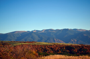 autumn landscape in the mountains