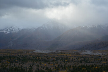 misty morning in the mountains