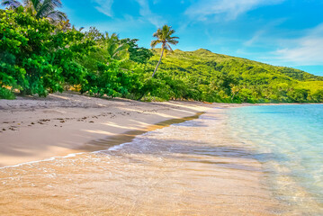 Tropical sandy beach at summer day in Fiji Islands, Pacific ocean