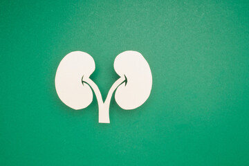 White human kidney symbol on a green background