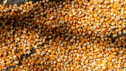 heap of corn kernels as background