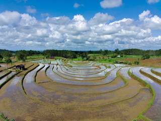 Beautiful morning view of Indonesia. Aerial photo of rice terraces that have just been ploughed by farmers