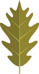 Fototapeta premium Oak leaf icon flat vector. Autumn fall. Nature season isolated