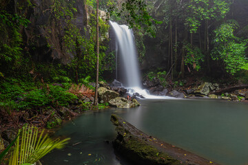 Obraz premium Curtis Falls, Tamborine Mountain QLD